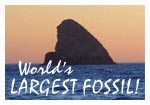 World's Largest Fossil postcard